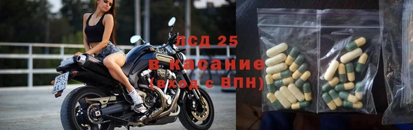 ГАЛЛЮЦИНОГЕННЫЕ ГРИБЫ Алексеевка