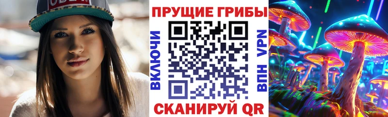 Псилоцибиновые грибы Psilocybe  что такое наркотик  Лагань 